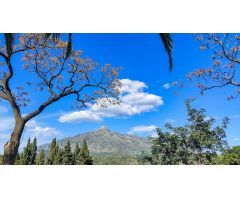 Parcela en Venta en Marbella, Málaga