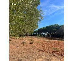 Parcela en Venta en San Roque, Cádiz