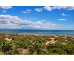 APARTAMENTO A 50M DEL MAR, CON PISCINAS Y PRECIOSA TERRAZA EN LA MATA