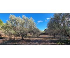 Chalet en Venta en Pedralba, Valencia
