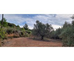 Chalet en Venta en Pedralba, Valencia