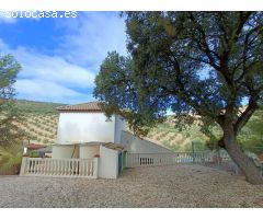 Casa rural independiente con piscina privada y olivos
