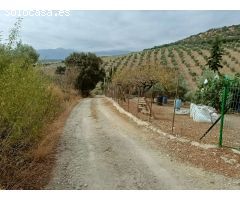 Casa rural independiente con piscina privada y olivos