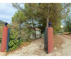 Casa rural independiente con piscina privada y olivos