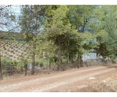 Casa rural independiente con piscina privada y olivos