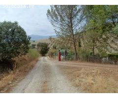 Casa rural independiente con piscina privada y olivos