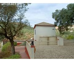 Casa rural independiente con piscina privada y olivos