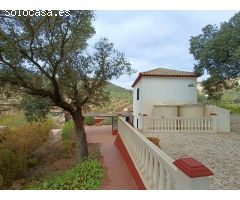 Casa rural independiente con piscina privada y olivos