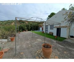Casa rural independiente con piscina privada y olivos