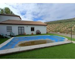 Casa rural independiente con piscina privada y olivos