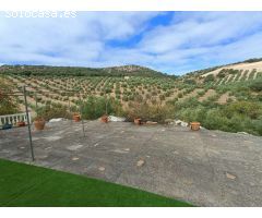 Casa rural independiente con piscina privada y olivos