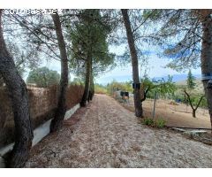 Casa rural independiente con piscina privada y olivos