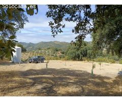 Casa rural independiente con piscina privada y olivos
