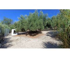 Casa de campo independiente de 5 dormitorios con piscina y fantásticas vistas