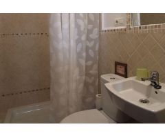 MOLINO HARINERO CENTERNARIO, CON 3 APARTAMENTOS INDEPENDIENTES Y CASA PARA DUEÑOS.
