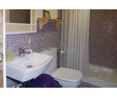 MOLINO HARINERO CENTERNARIO, CON 3 APARTAMENTOS INDEPENDIENTES Y CASA PARA DUEÑOS.