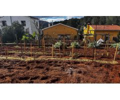TERRENO EN PLA DEL CORRAL con garaje