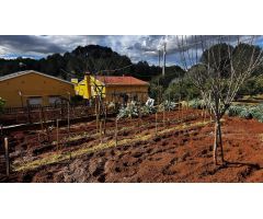 TERRENO EN PLA DEL CORRAL con garaje