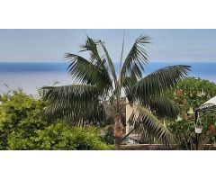 Chalet en Venta en Icod de los Vinos, Santa Cruz de Tenerife