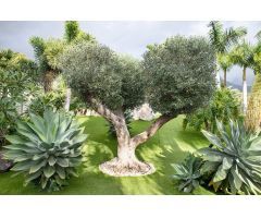 Villa de Lujo en Venta en La Caleta-Guardia, Santa Cruz de Tenerife