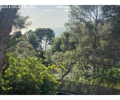 Chalet en Venta en Benicàssim, Castellón
