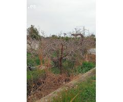 TERRENO EN ALMARDA PARA UBICAR TU CASA MADERA !!