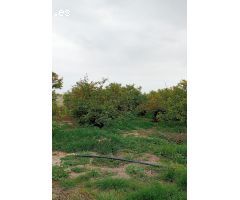 TERRENO EN ALMARDA PARA UBICAR TU CASA MADERA !!