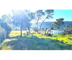 FINCA RÚSTICA CON GRAN POTENCIAL EN PARTIDA DE LA PLANA – DÉNIA
