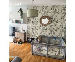Piso en Venta en Puerto de Santa María, El, Cádiz