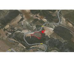 FINCA RÚSTICA EN VENTA