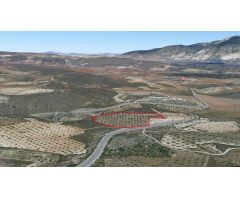 FINCA RÚSTICA EN VENTA