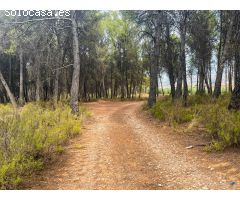 Finca Rústica en Iznalloz