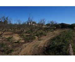 Finca rustica en Venta en Mas Riudoms, Tarragona