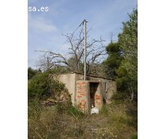 Finca rustica en Venta en les Borges del Camp, Tarragona
