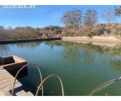 Finca rustica en Venta en Mas Riudoms, Tarragona