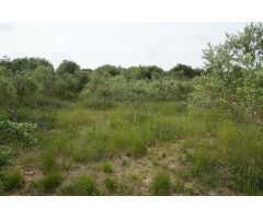 Finca rustica en Venta en Mas Riudoms, Tarragona