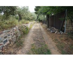 Finca rustica en Venta en Mas Riudoms, Tarragona