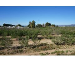 Finca rustica en Venta en Mas Riudoms, Tarragona
