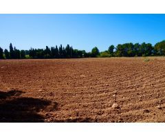 Finca rustica en Venta en Montroig, Tarragona