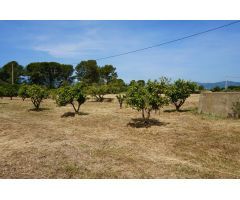 Finca rustica en Venta en Cambrils, Tarragona