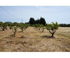 Finca rustica en Venta en Cambrils, Tarragona