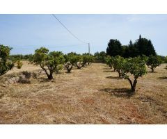 Finca rustica en Venta en Cambrils, Tarragona