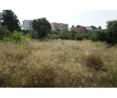 Finca rustica en Venta en les Borges del Camp, Tarragona