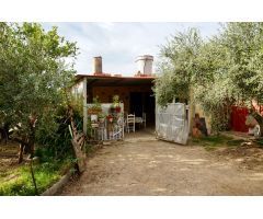 Finca rustica en Venta en Botarell, Tarragona