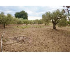 Finca rustica en Venta en Botarell, Tarragona