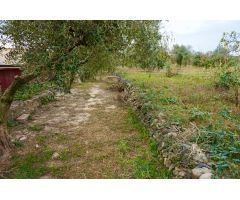 Finca rustica en Venta en Botarell, Tarragona
