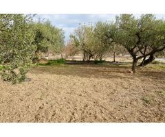 Finca rustica en Venta en Botarell, Tarragona