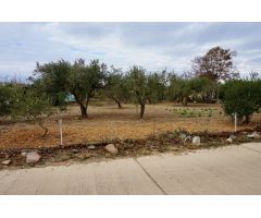 Finca rustica en Venta en Botarell, Tarragona