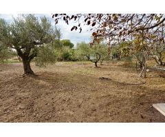 Finca rustica en Venta en Botarell, Tarragona