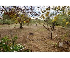 Finca rustica en Venta en Botarell, Tarragona